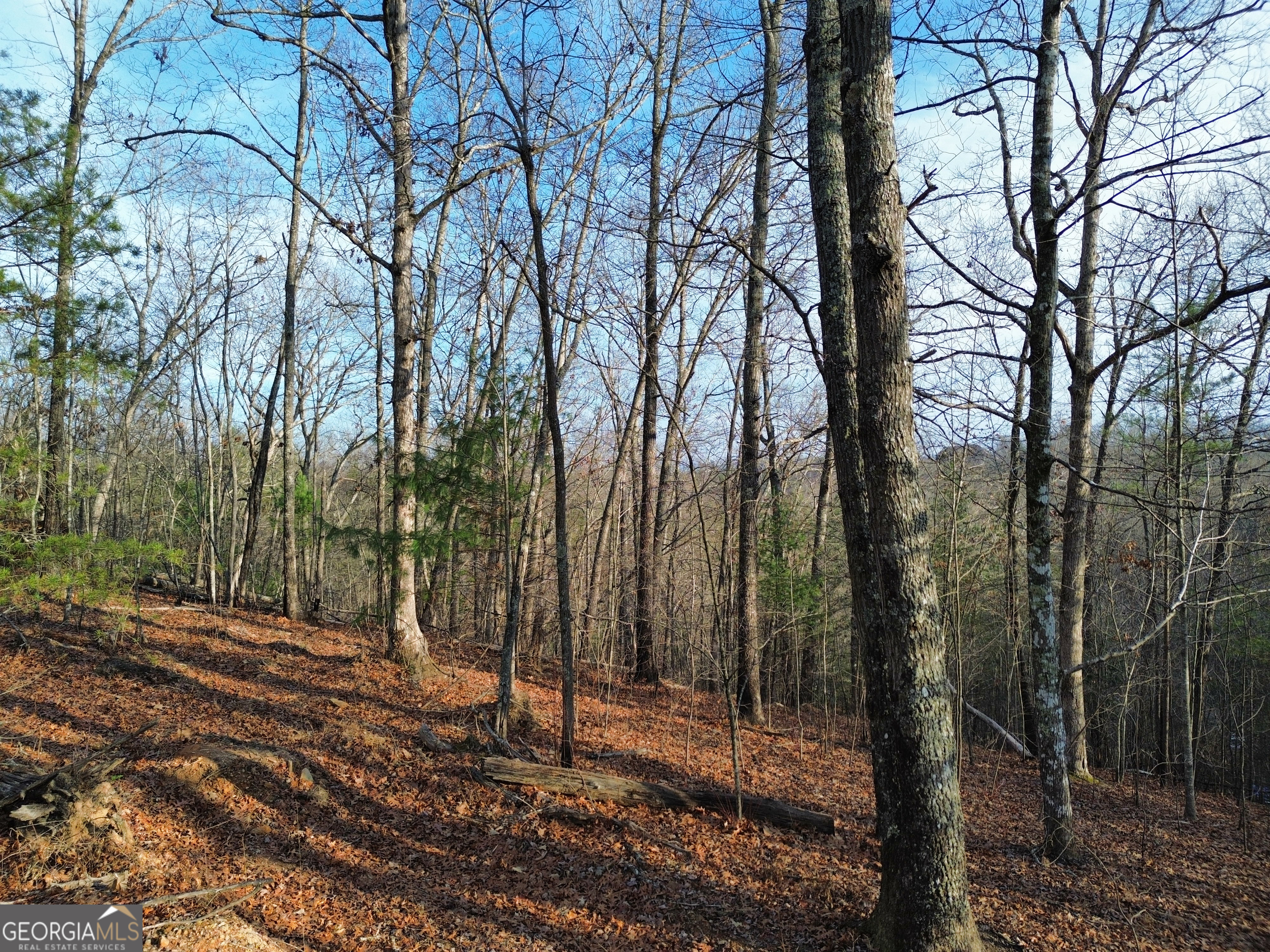 Tract 1 Century Lane Blue Ridge GA 30513