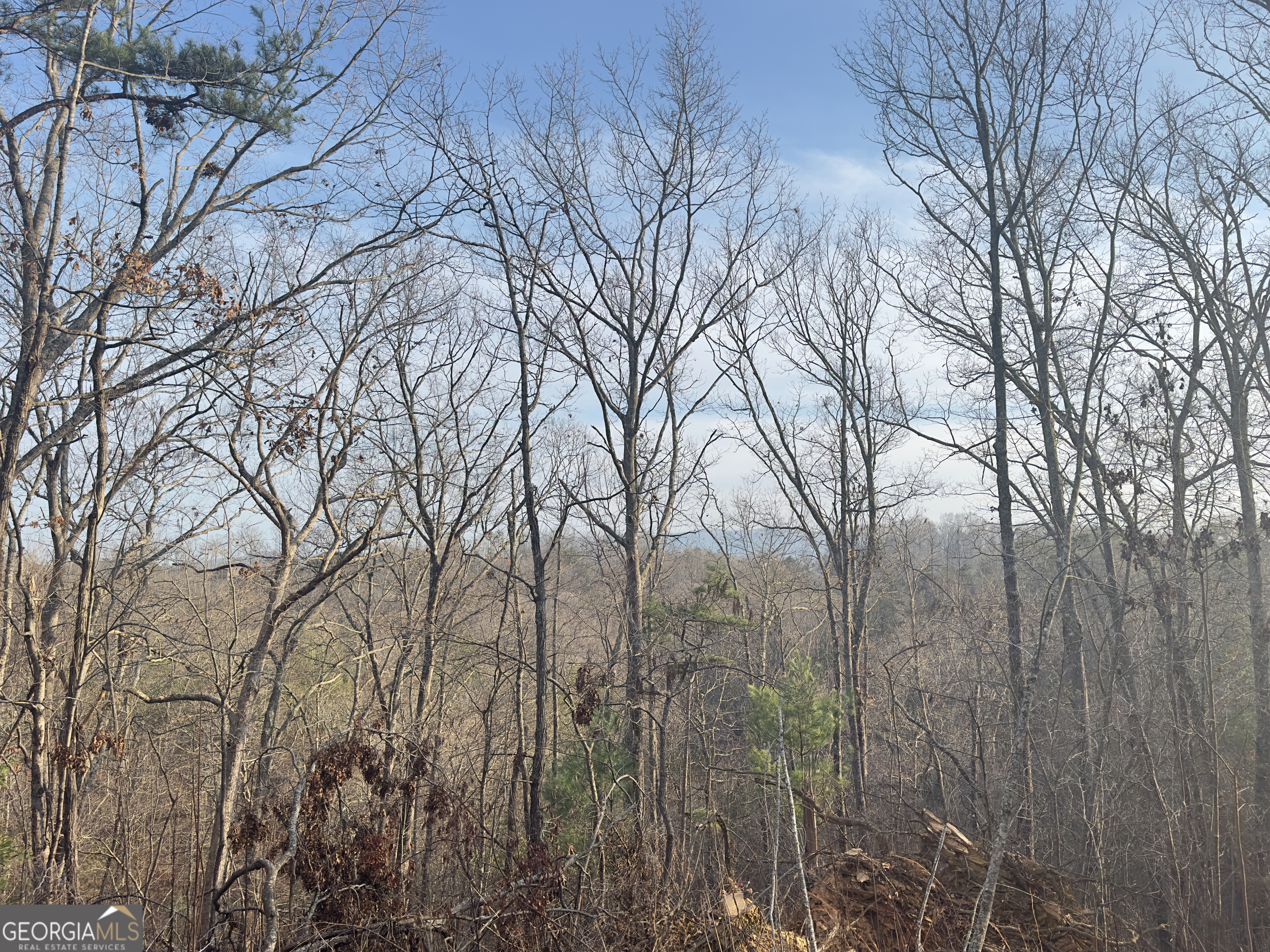 Tract 1 Century Lane Blue Ridge GA 30513