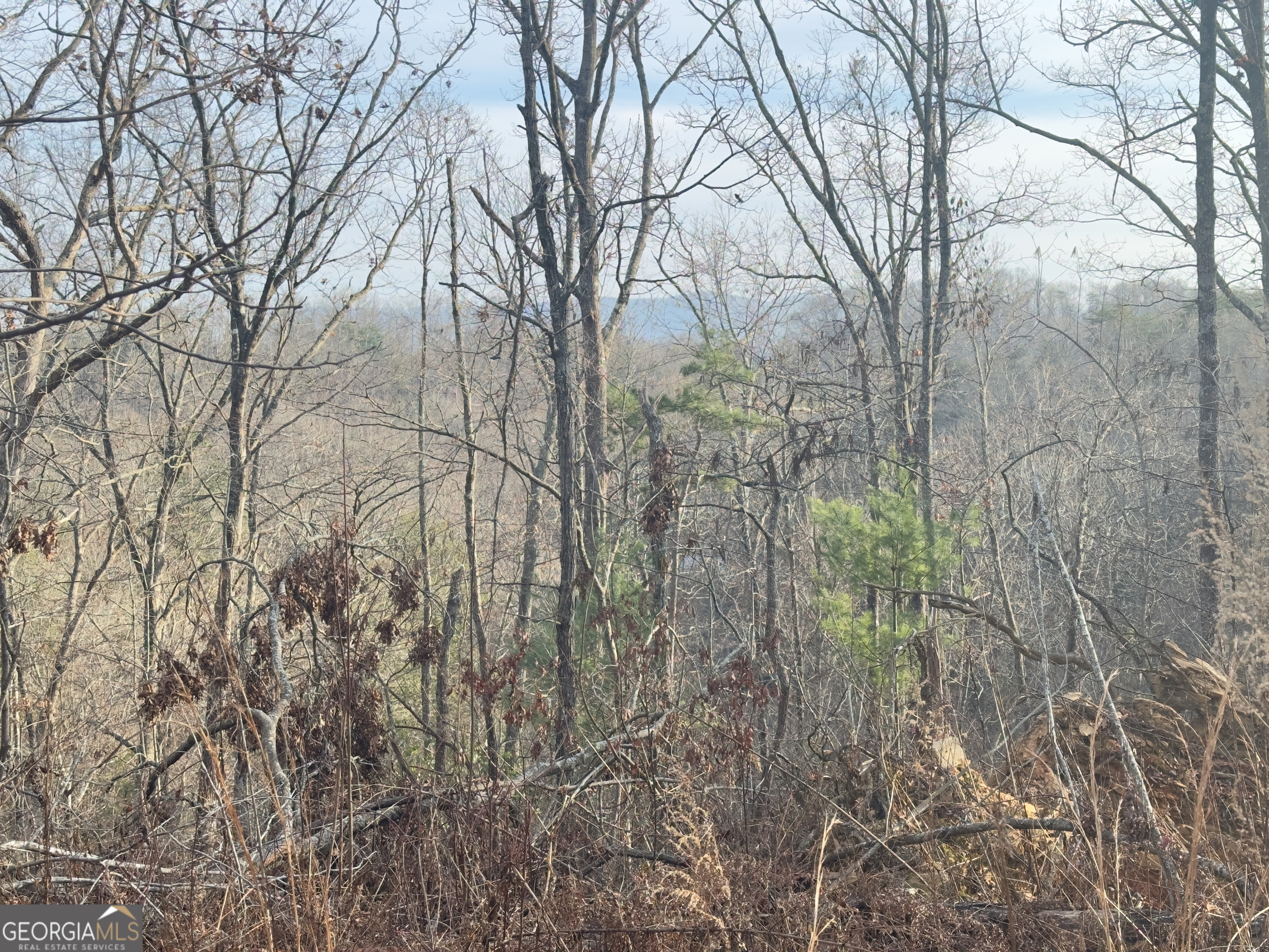 Tract 1 Century Lane Blue Ridge GA 30513