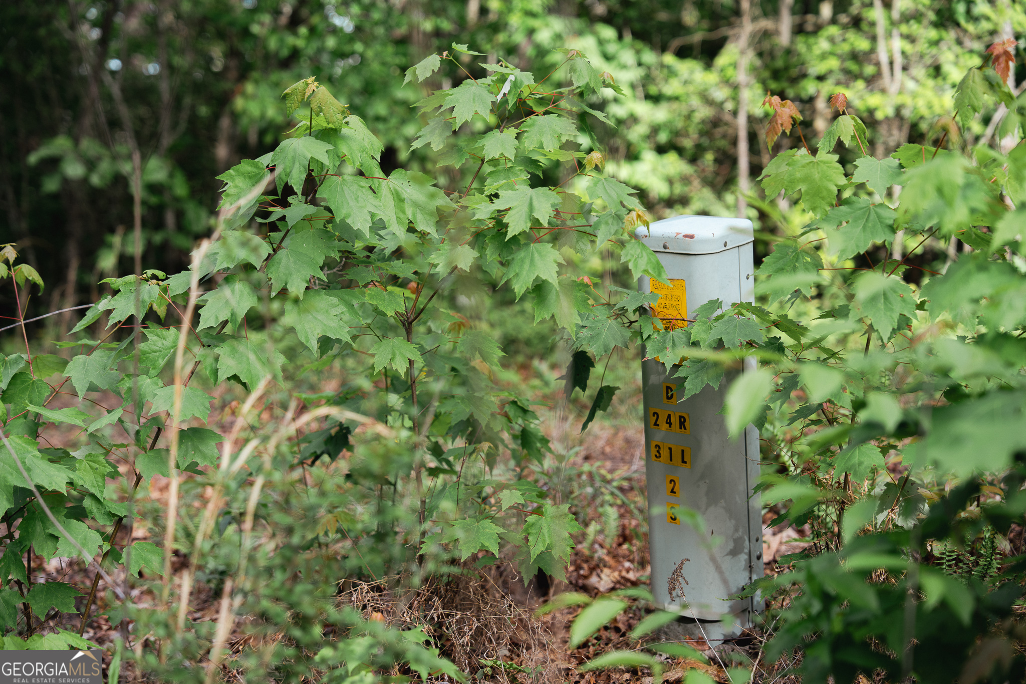 Tract 1 Century Lane Blue Ridge GA 30513