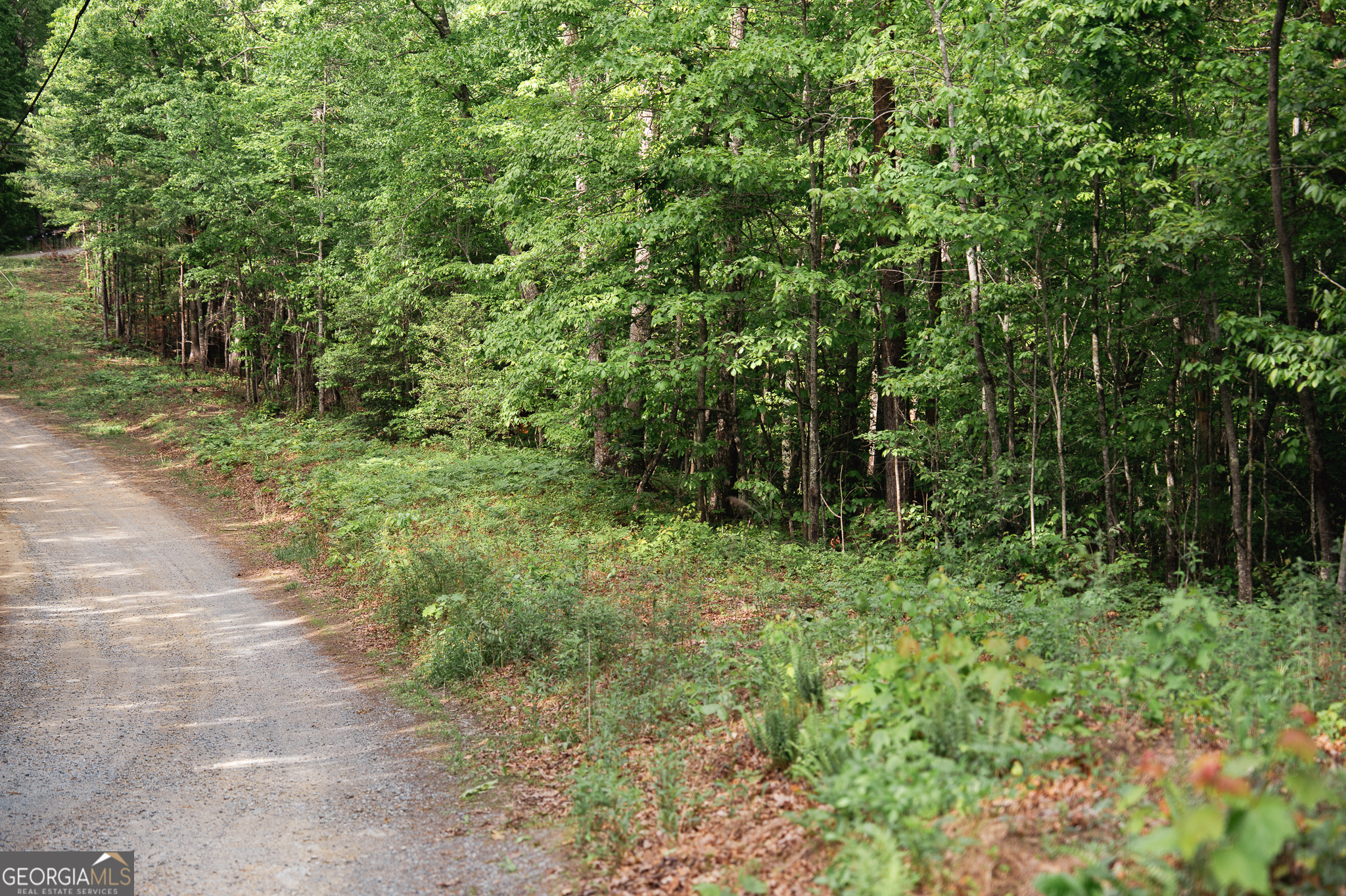 Tract 1 Century Lane Blue Ridge GA 30513