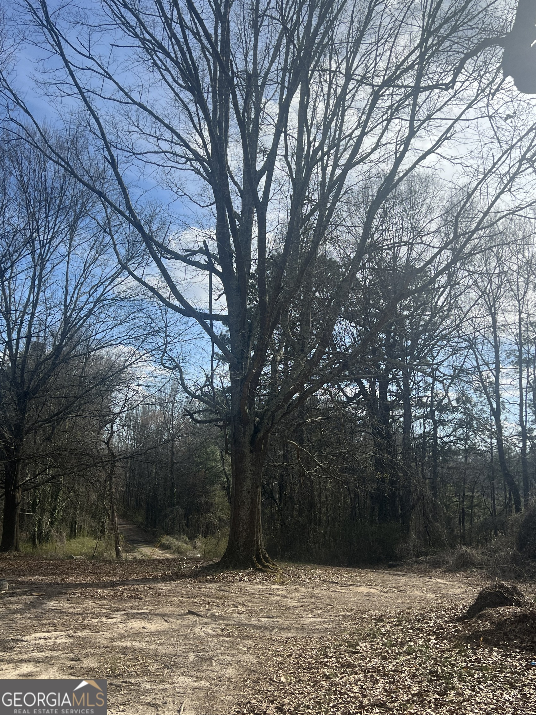 98 Pine Shadows Drive Dallas GA 30157