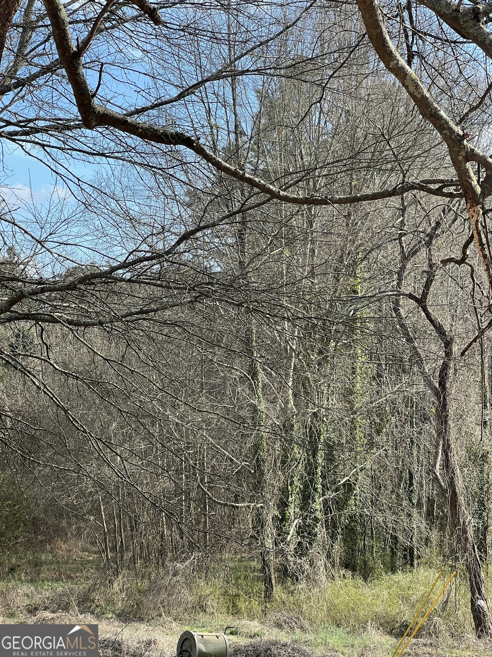 98 Pine Shadows Drive Dallas GA 30157