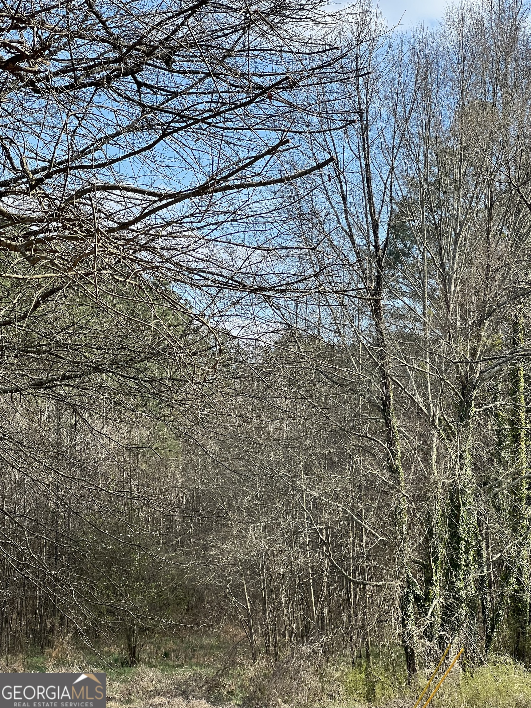 98 Pine Shadows Drive Dallas GA 30157