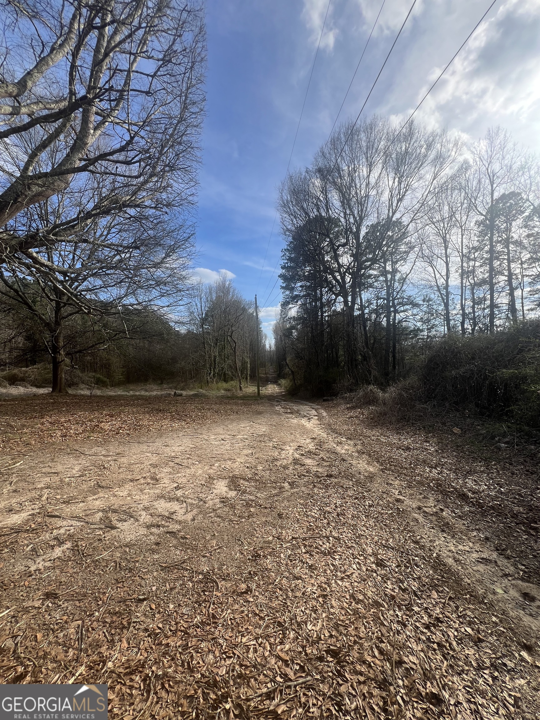 98 Pine Shadows Drive Dallas GA 30157