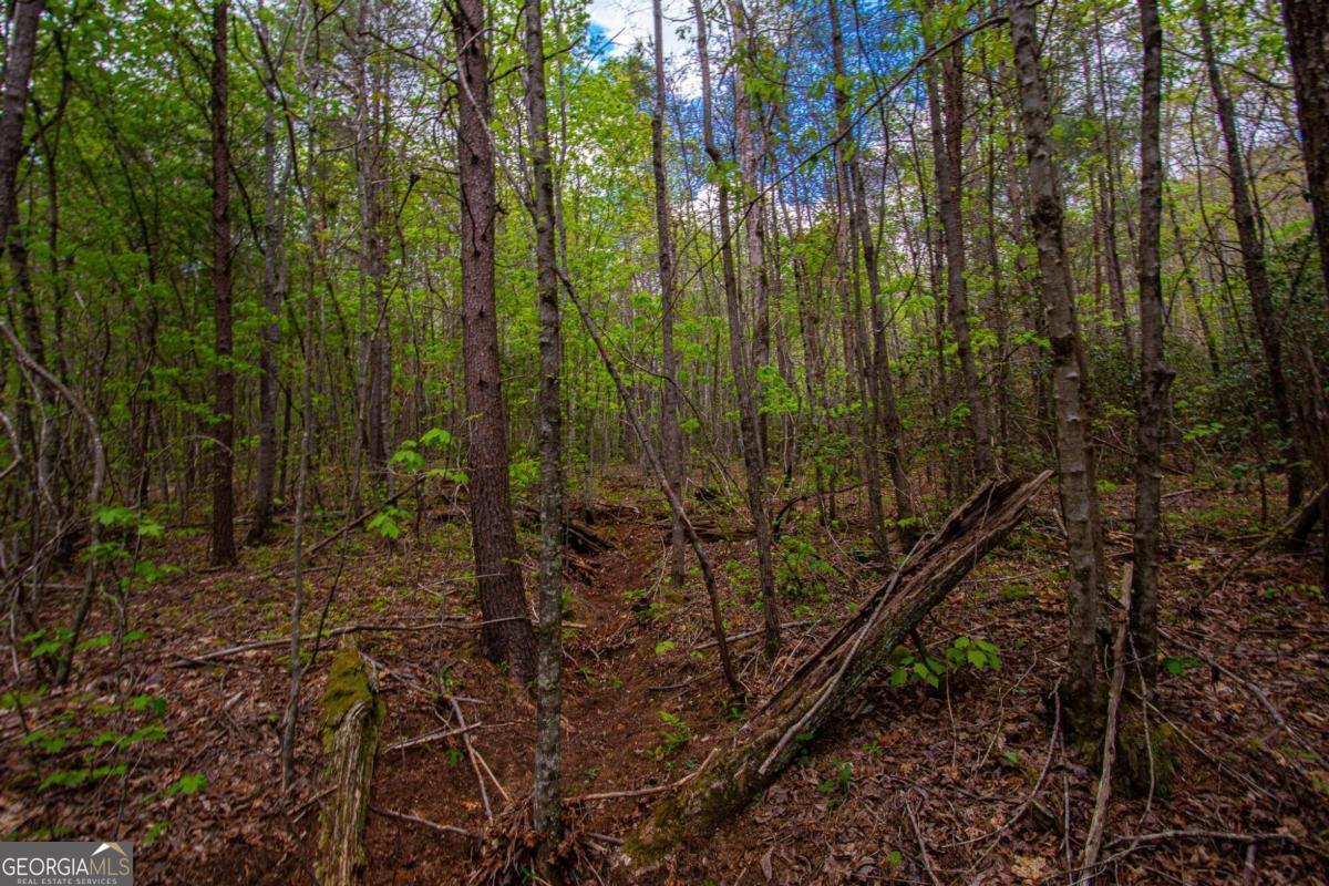 0 Antioch Valley Road Trct 1 Dawsonville GA 30534