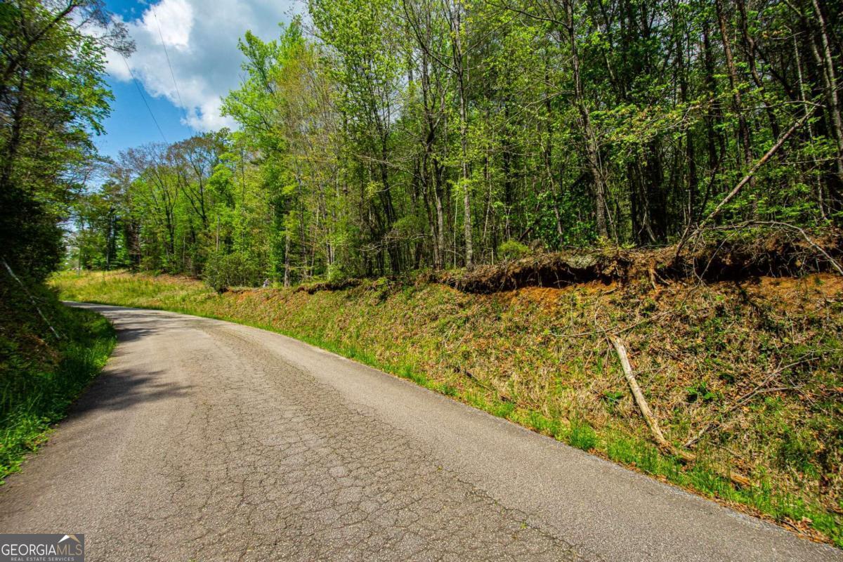 0 Antioch Valley Road Trct 1 Dawsonville GA 30534