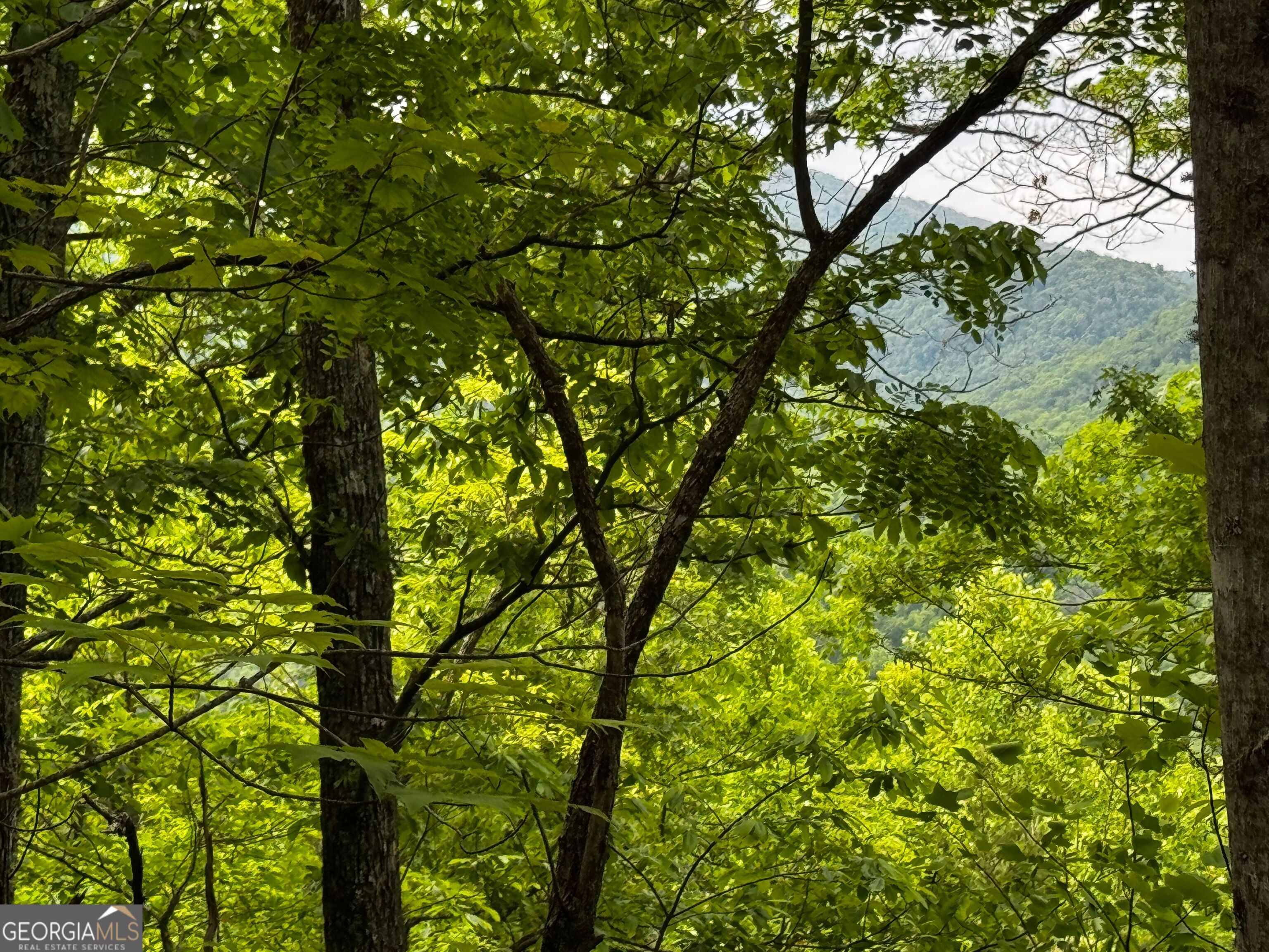 #6 Pounding Mill Overlook Hayesville NC 28904
