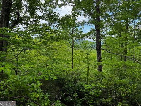 #6 Pounding Mill Overlook Hayesville NC 28904