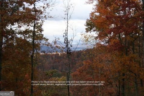 #6 Pounding Mill Overlook Hayesville NC 28904