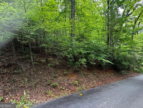 #6 Pounding Mill Overlook Hayesville NC 28904