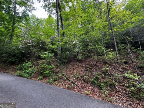 #6 Pounding Mill Overlook Hayesville NC 28904