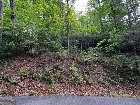 #6 Pounding Mill Overlook Hayesville NC 28904