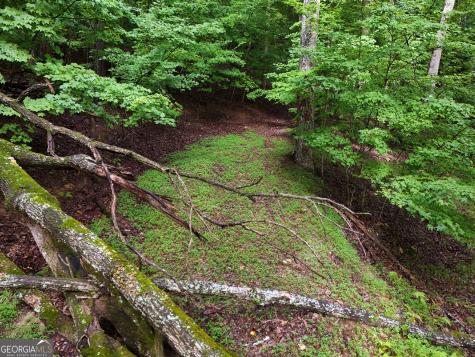 Lot 71 Chicory Drive W Blairsville GA 30512