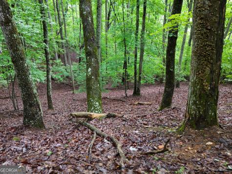 Lot 71 Chicory Drive W Blairsville GA 30512