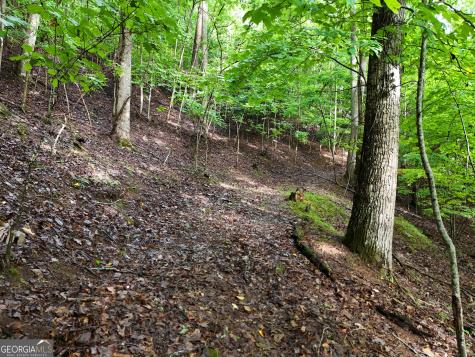 Lot 71 Chicory Drive W Blairsville GA 30512