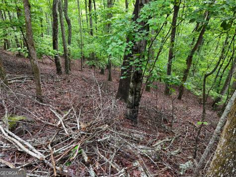 Lot 71 Chicory Drive W Blairsville GA 30512