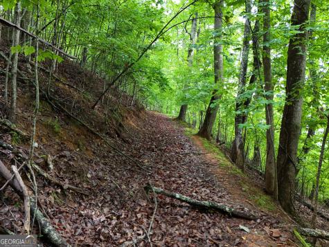 Lot 71 Chicory Drive W Blairsville GA 30512