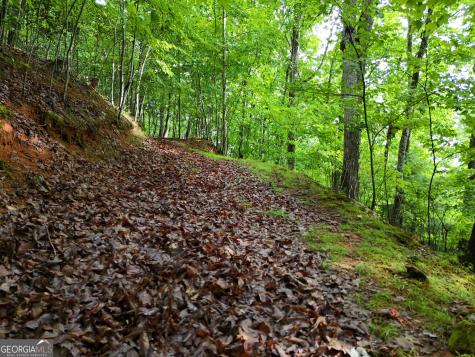 Lot 71 Chicory Drive W Blairsville GA 30512