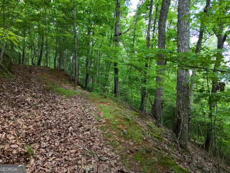 Lot 71 Chicory Drive W Blairsville GA 30512