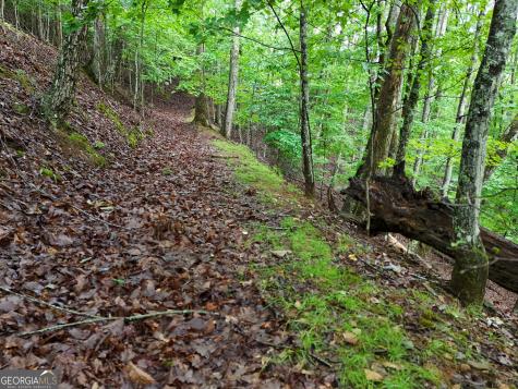 Lot 71 Chicory Drive W Blairsville GA 30512