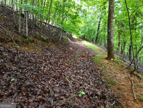 Lot 71 Chicory Drive W Blairsville GA 30512