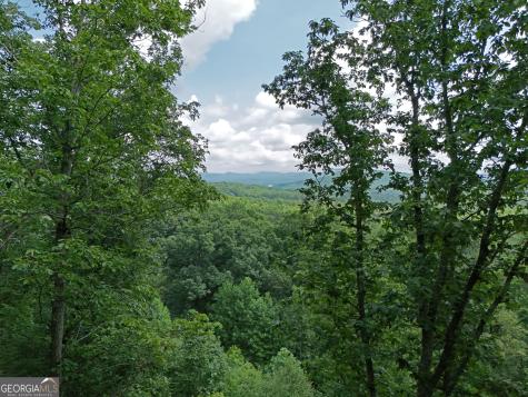 Lot 71 Chicory Drive W Blairsville GA 30512