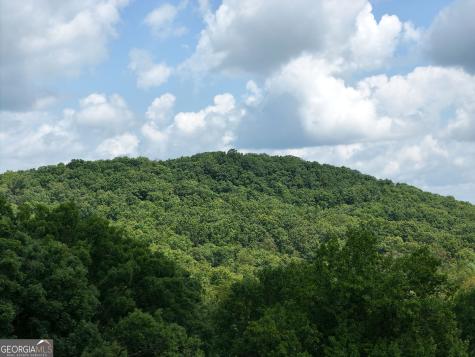 Lot 71 Chicory Drive W Blairsville GA 30512