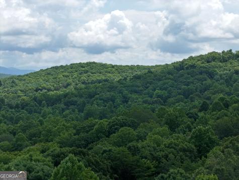Lot 71 Chicory Drive W Blairsville GA 30512