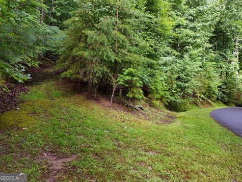Lot 71 Chicory Drive W Blairsville GA 30512