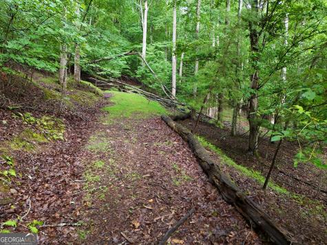 Lot 71 Chicory Drive W Blairsville GA 30512