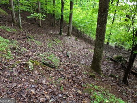 Lot 71 Chicory Drive W Blairsville GA 30512