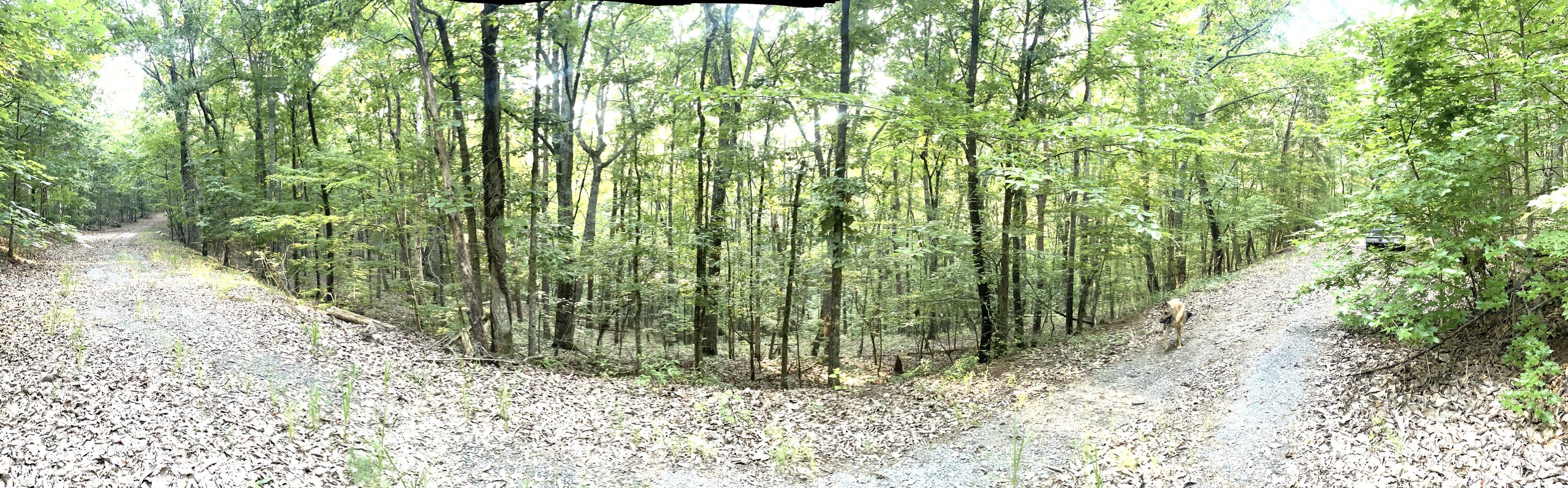 715 Railey Ridge Ranger GA 30734