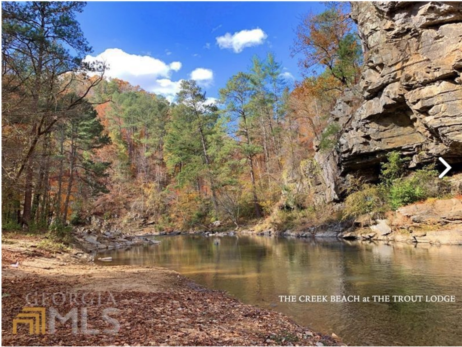 715 Railey Ridge Ranger GA 30734