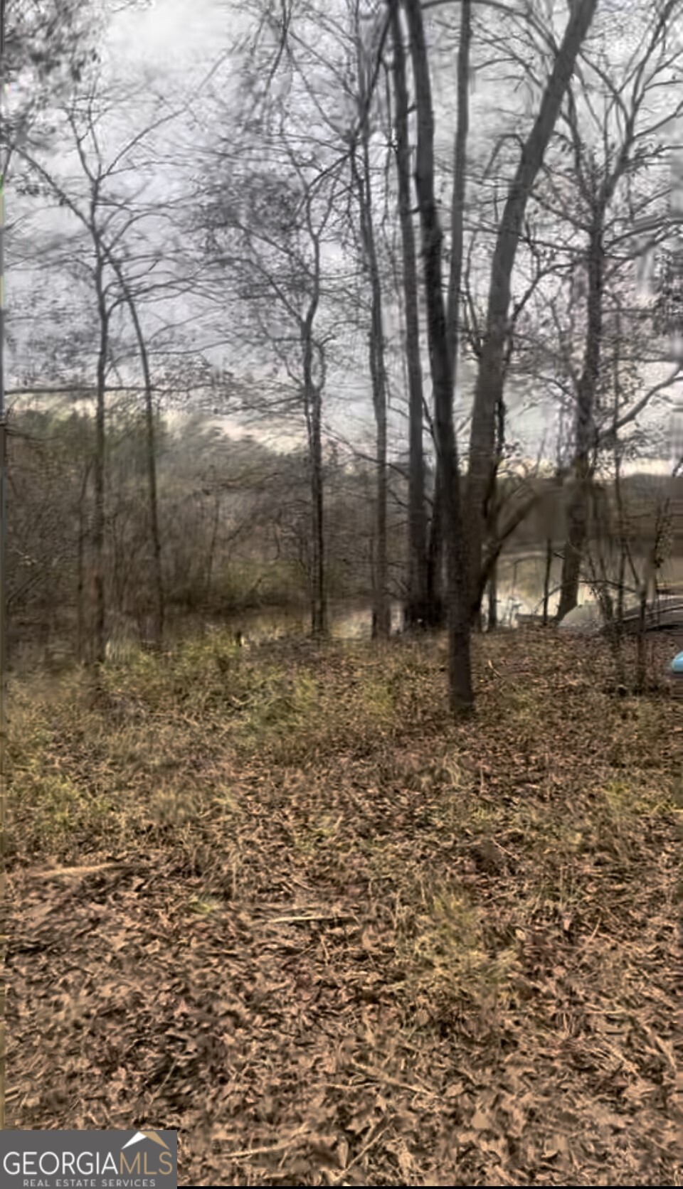 166 Lake Crest Drive Sparta GA 31087