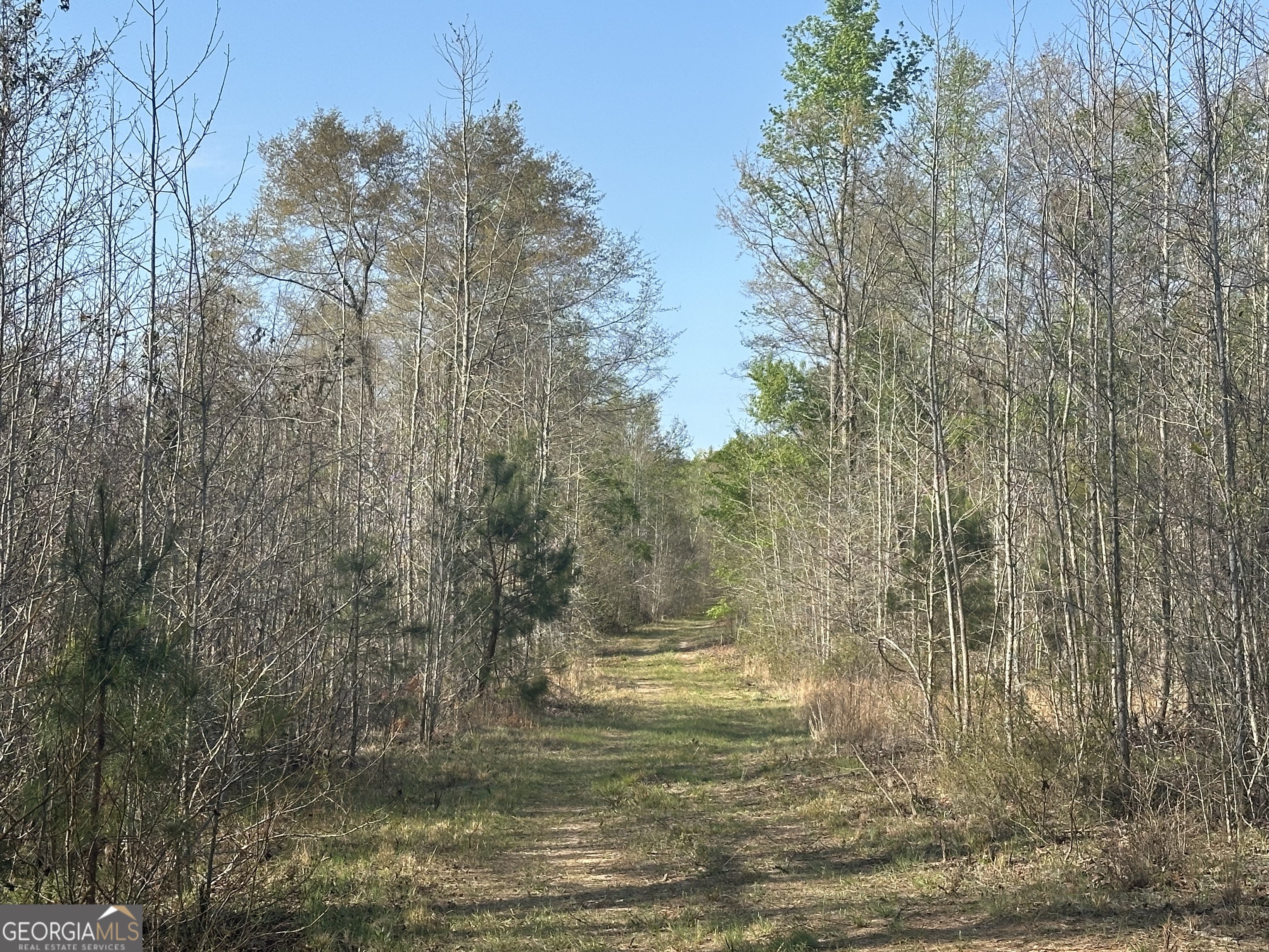 4253 Bath Edie Road Hephzibah GA 30815