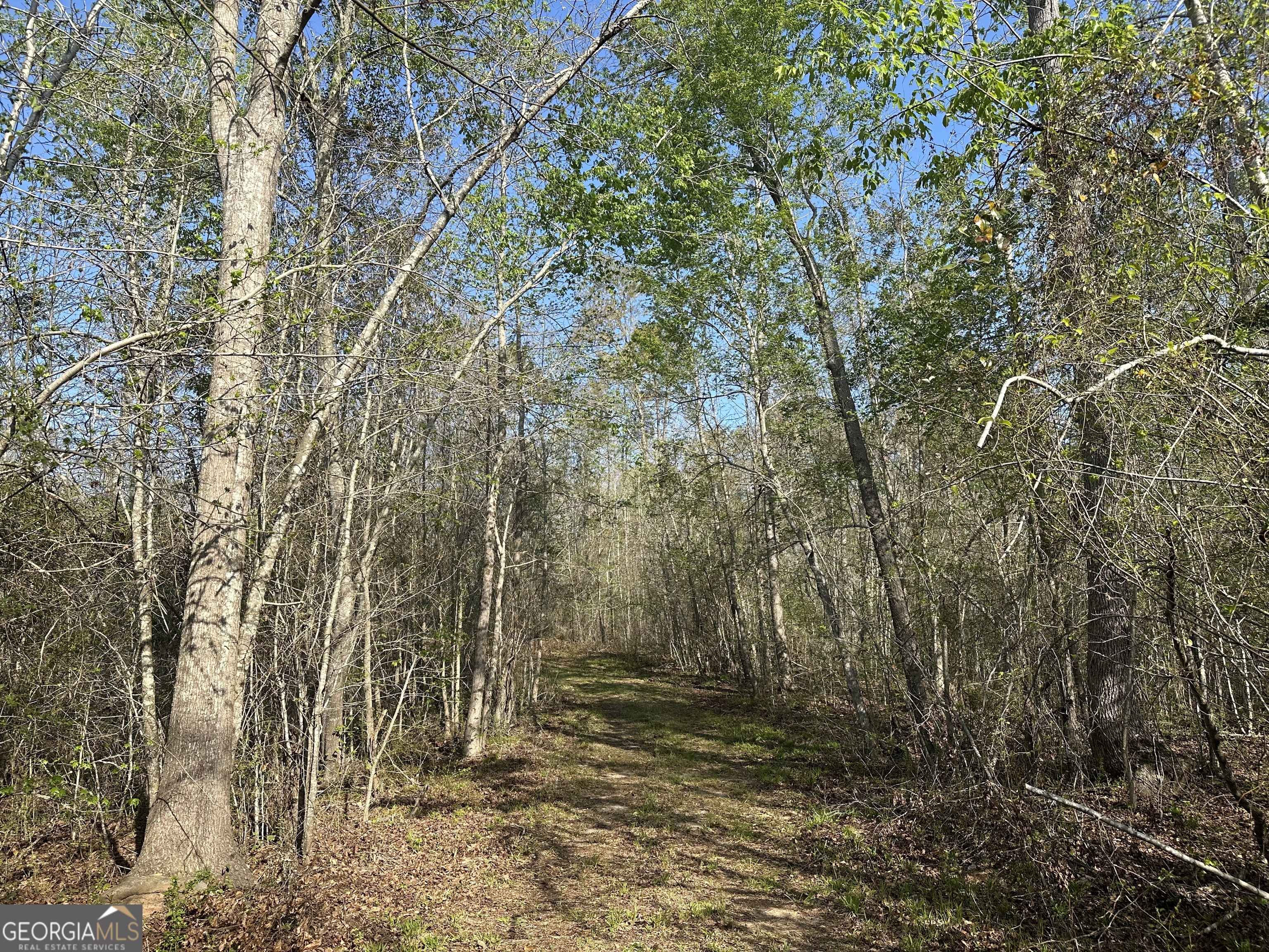 4253 Bath Edie Road Hephzibah GA 30815