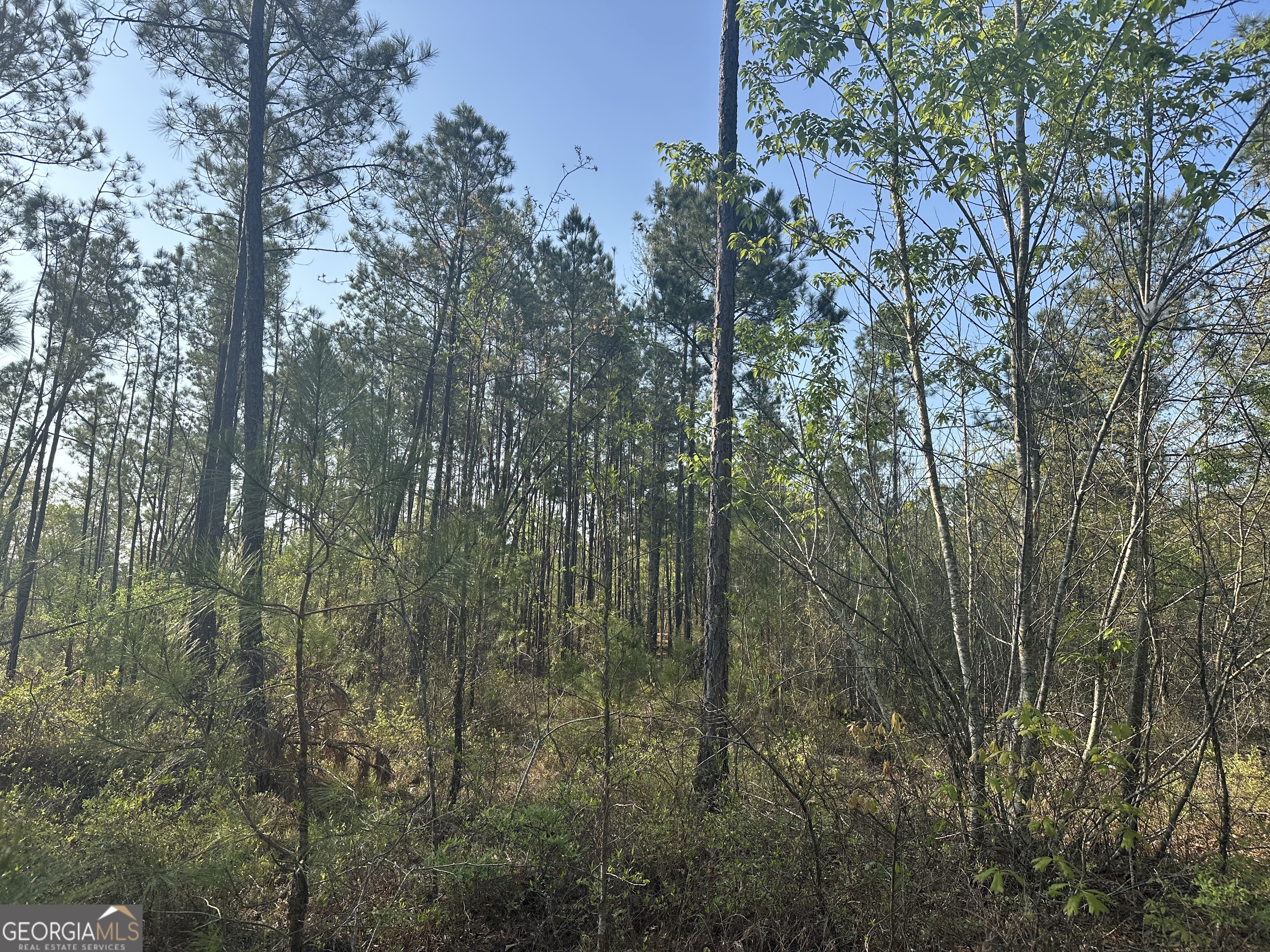 4253 Bath Edie Road Hephzibah GA 30815