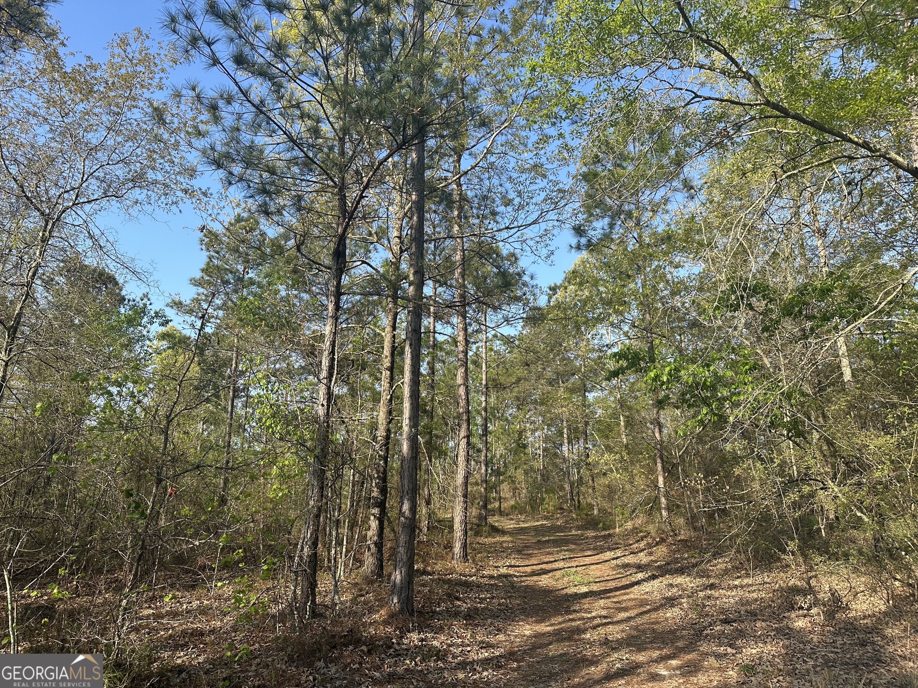 4253 Bath Edie Road Hephzibah GA 30815