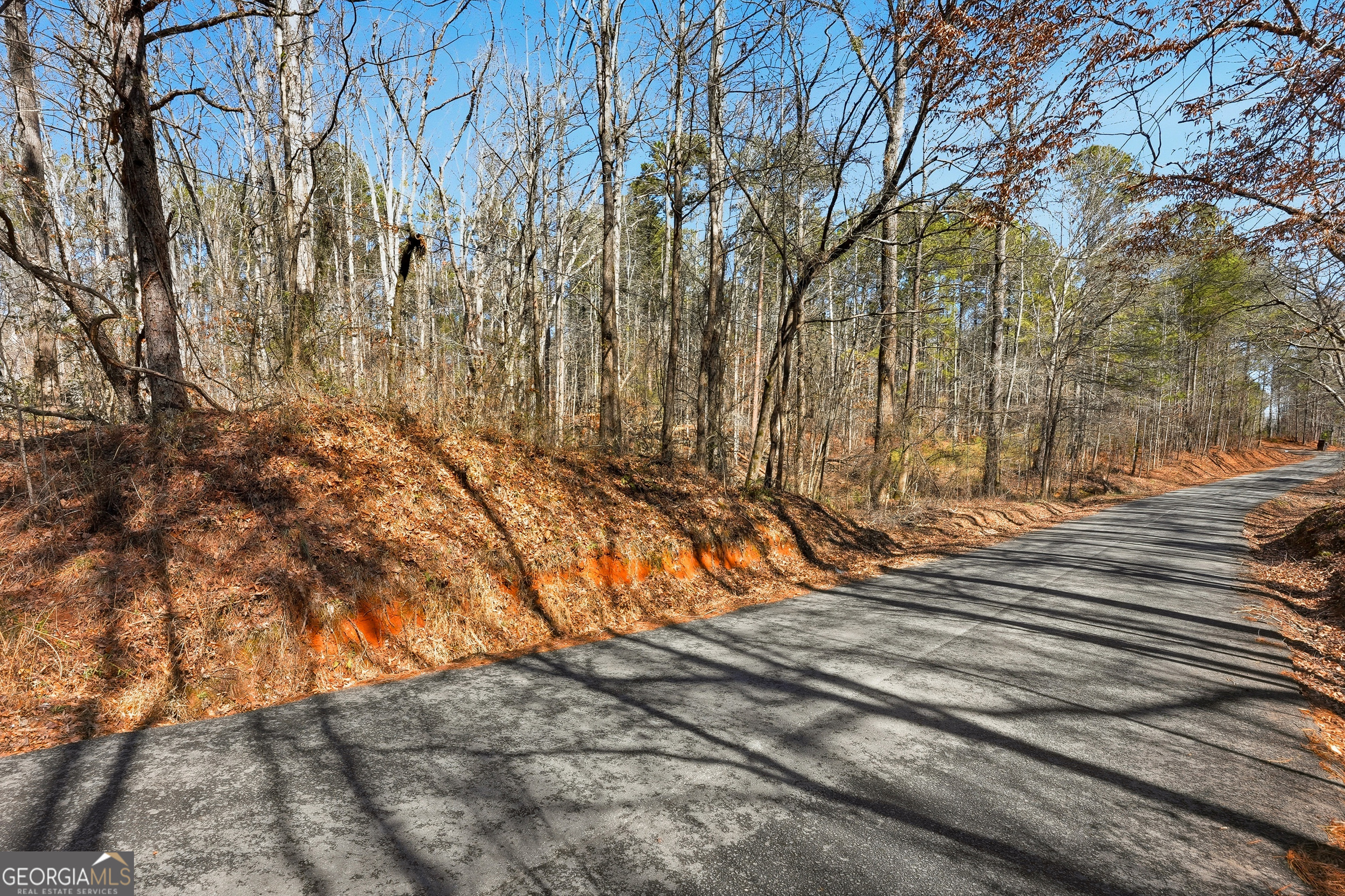 0 Pickett Bridge Road Covington GA 30016