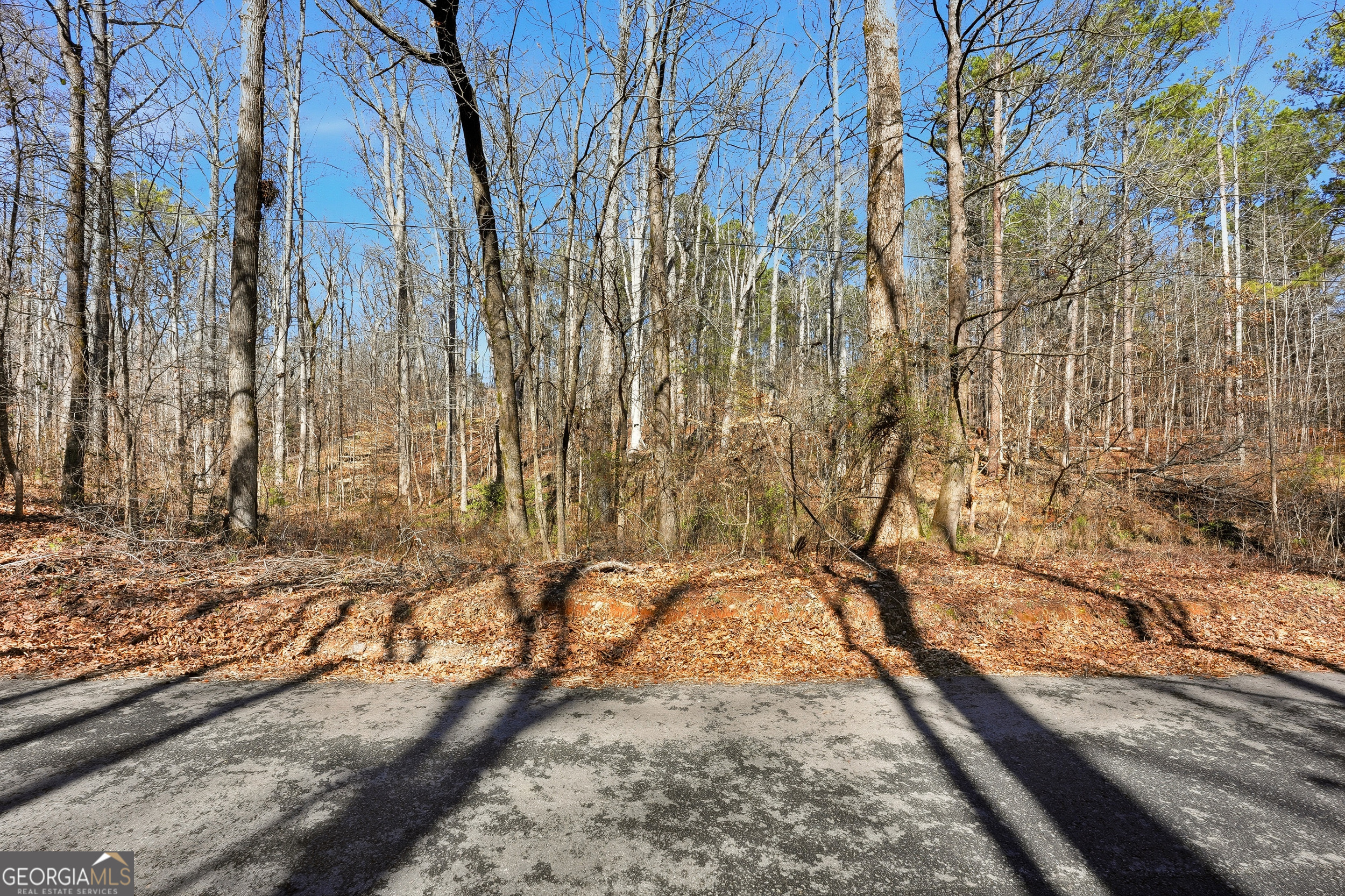 0 Pickett Bridge Road Covington GA 30016