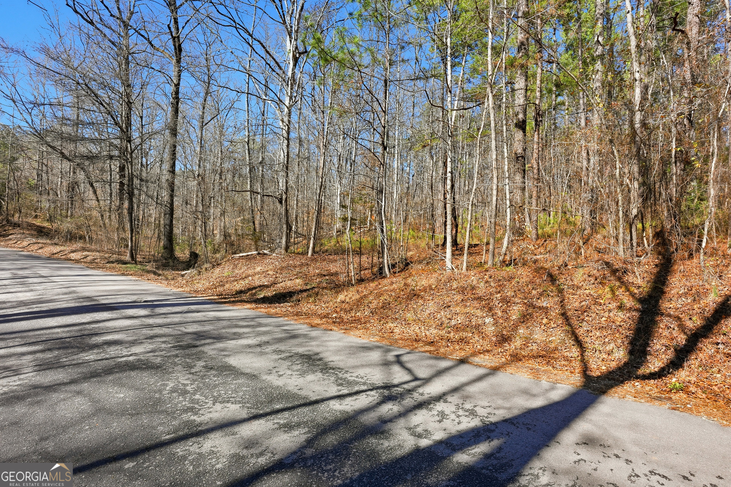 0 Pickett Bridge Road Covington GA 30016