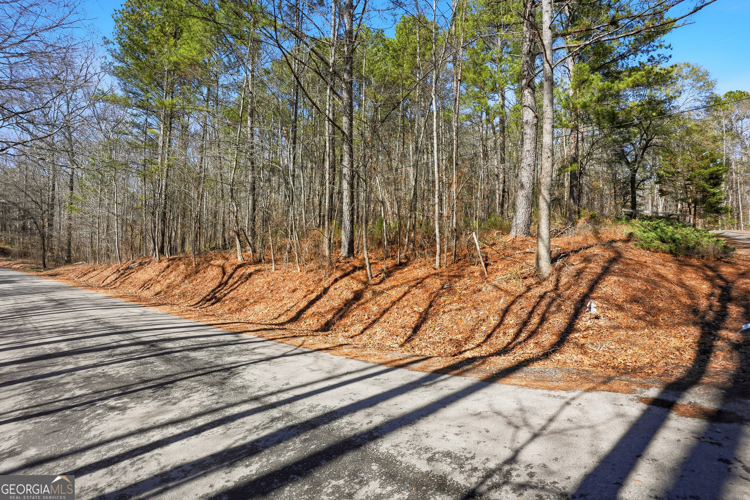 0 Pickett Bridge Road Covington GA 30016