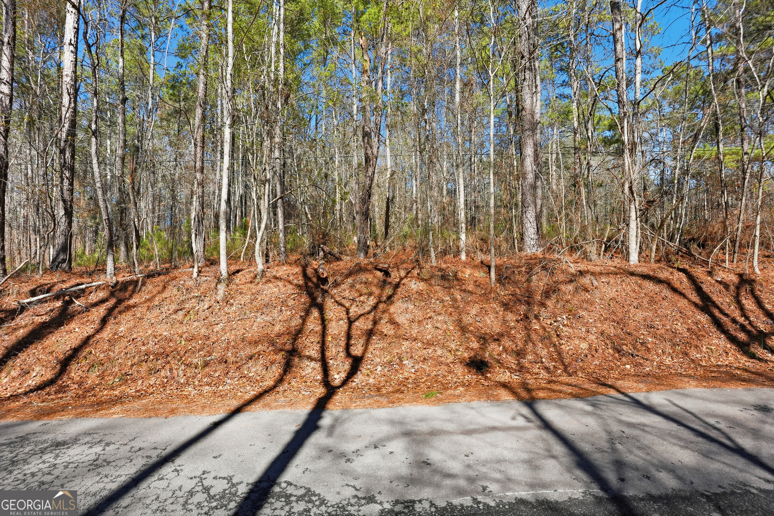 0 Pickett Bridge Road Covington GA 30016