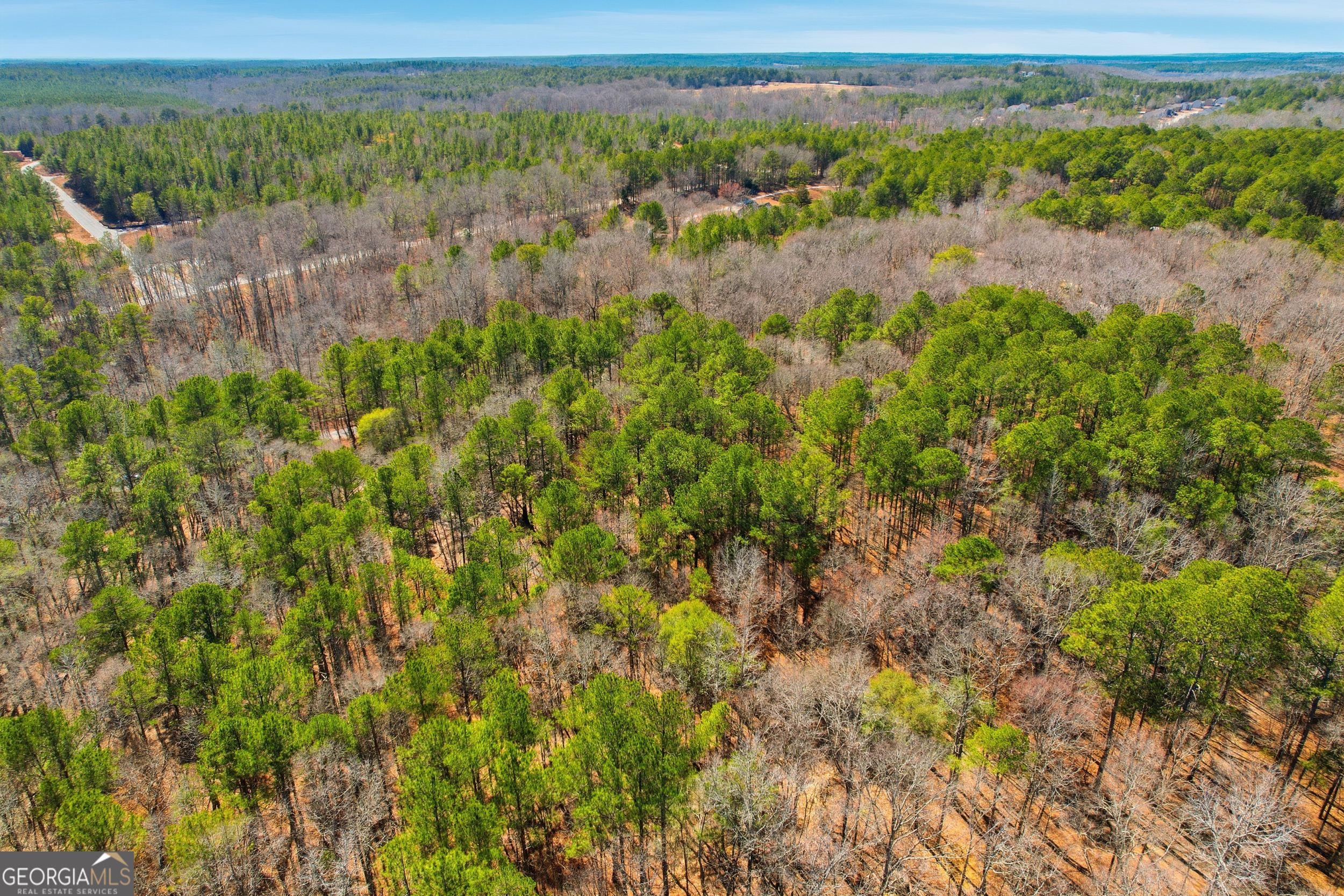 0 Pickett Bridge Road Covington GA 30016