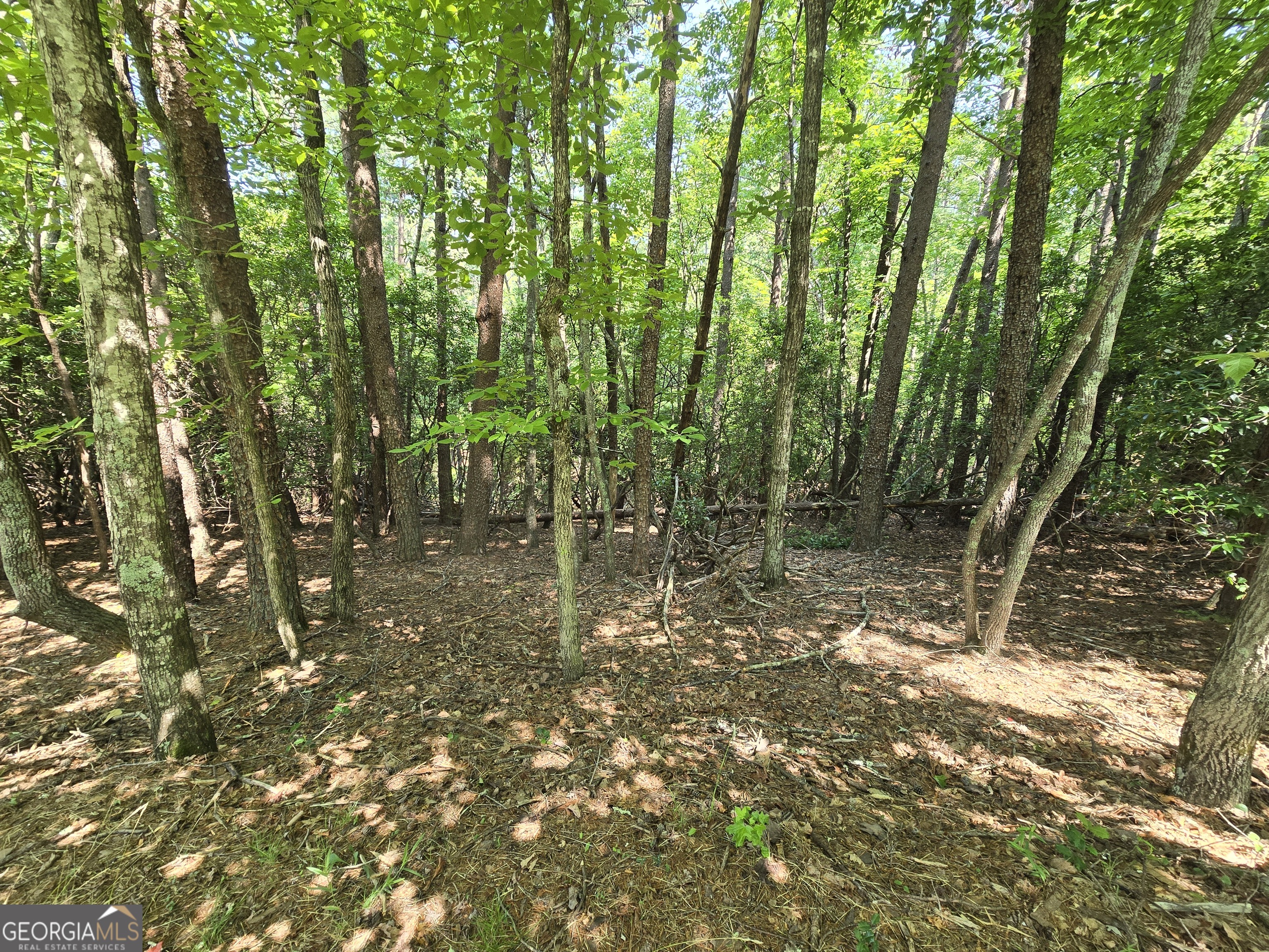 C2 Quail Run Sautee Nacoochee GA 30571