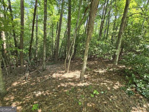 C2 Quail Run Sautee Nacoochee GA 30571