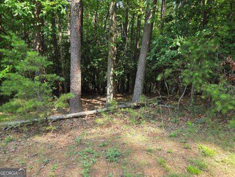 C2 Quail Run Sautee Nacoochee GA 30571