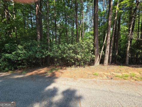 C2 Quail Run Sautee Nacoochee GA 30571