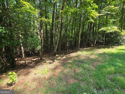 C2 Quail Run Sautee Nacoochee GA 30571